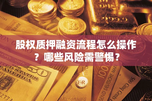 济南股权质押融资流程怎么操作？哪些风险需警惕？