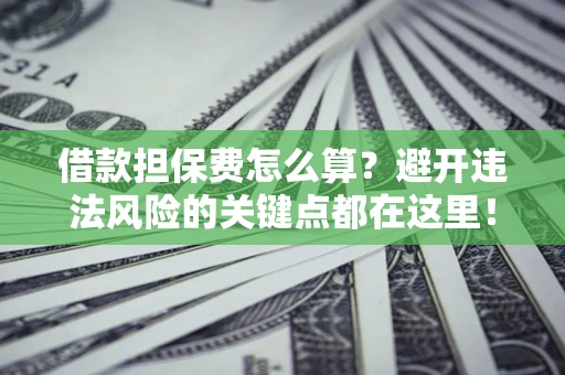 济南借款担保费怎么算？避开违法风险的关键点都在这里！