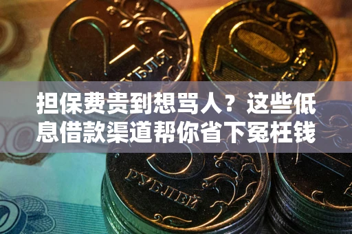 济南担保费贵到想骂人？这些低息借款渠道帮你省下冤枉钱