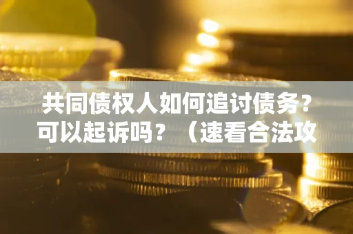 济南共同债权人如何追讨债务？可以起诉吗？（速看合法攻略）