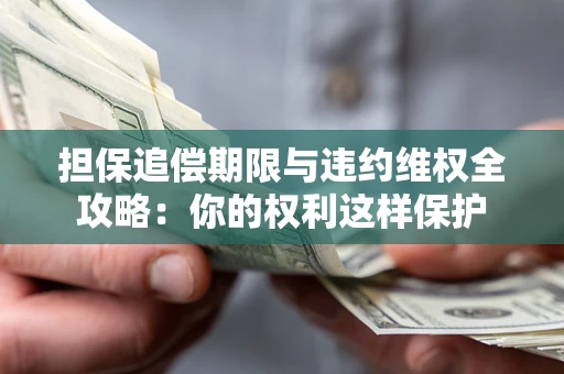 济南担保追偿期限与违约维权全攻略：你的权利这样保护